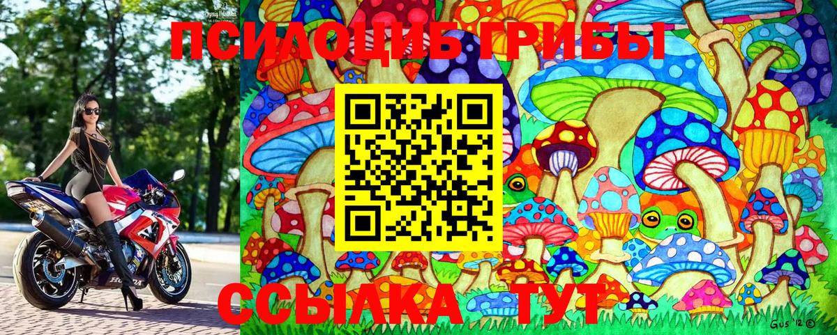 Псилоцибиновые грибы Psilocybine cubensis  Псилоцибиновые грибы MAGIC MUSHROOMS  как найти закладки  Казань 