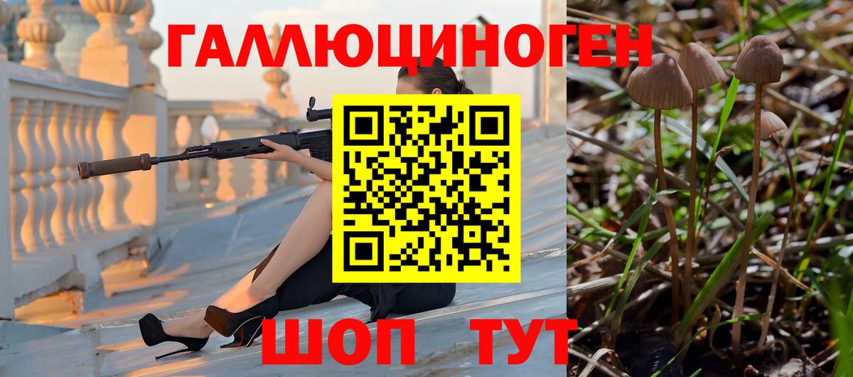 Галлюциногенные грибы мухоморы  Галлюциногенные грибы Psilocybine cubensis  Казань  Вход с VPN 