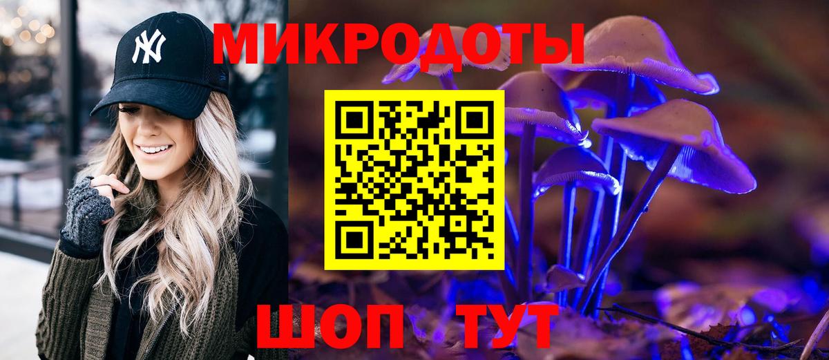 Псилоцибиновые грибы GOLDEN TEACHER Казань