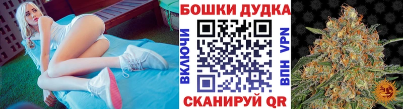 Бошки марихуана AK-47  где купить наркотик  Казань 